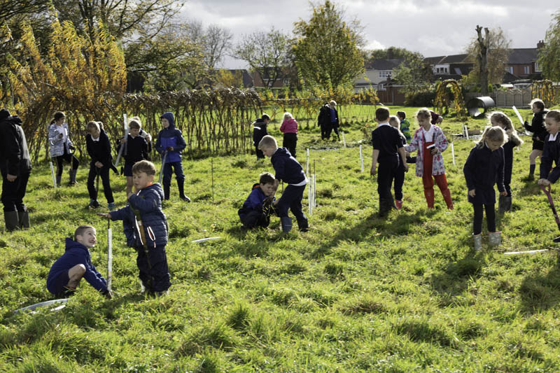Sealy planting day at St Matthew's Primary